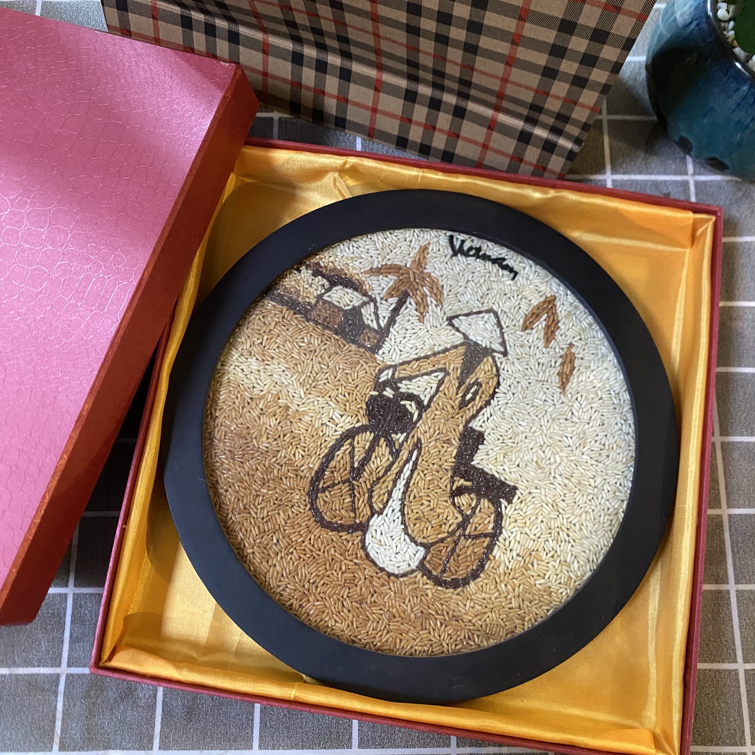 CÔ GÁi Áo DÀi Xe ĐẠp Tgr D26 (2)