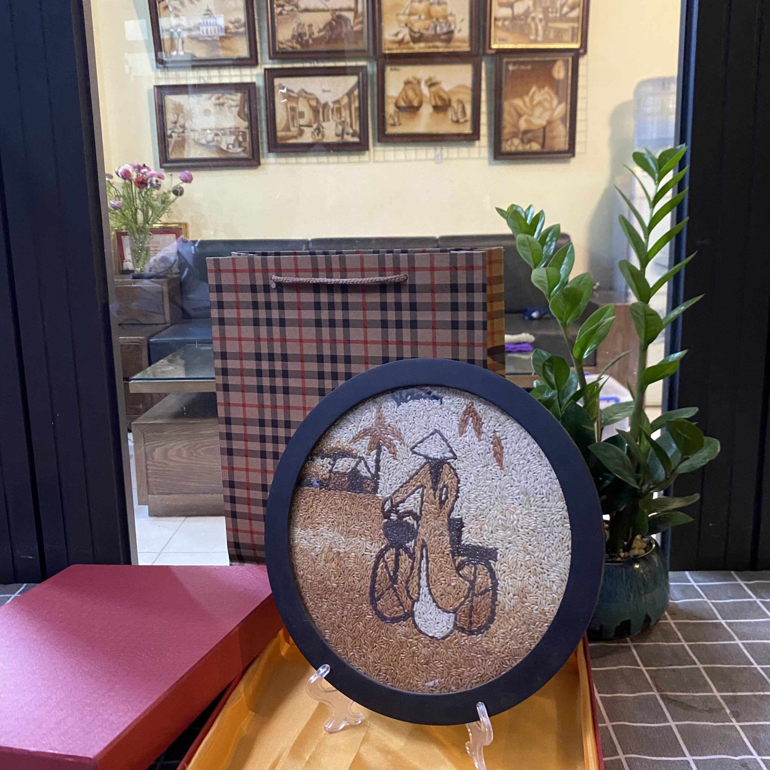 CÔ GÁi Áo DÀi Xe ĐẠp Tgr D26